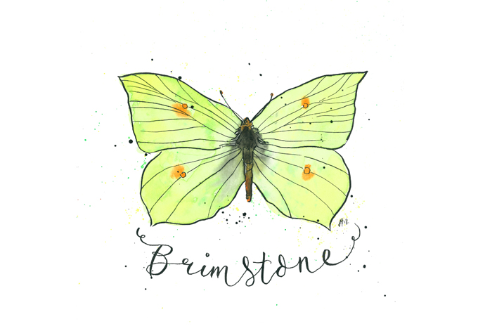 'Brimstone'